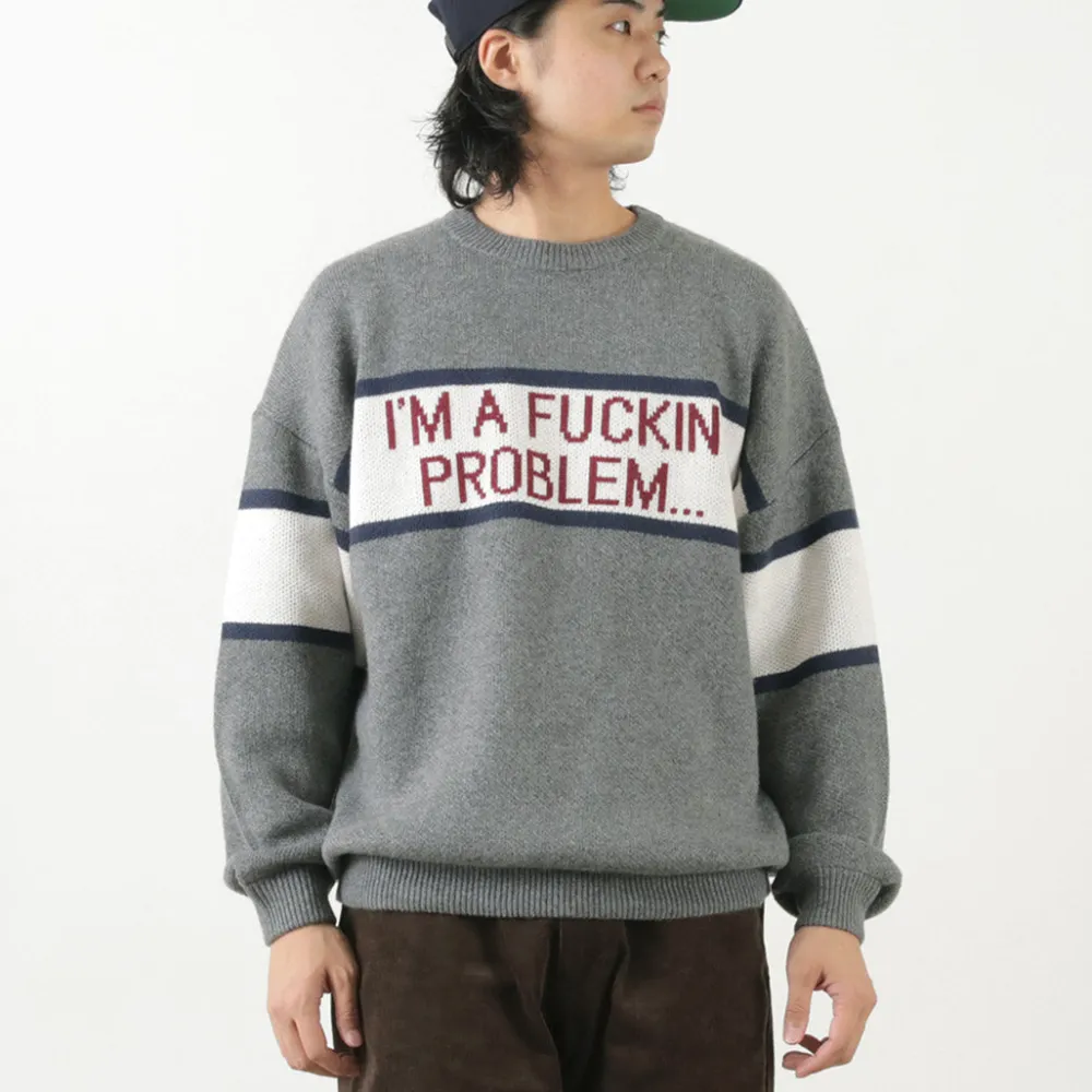 SON OF THE CHEESE Knits^/ IM FUCKING PROBLEM Crew Sweater gray