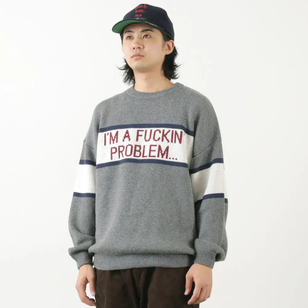 SON OF THE CHEESE Knits^/ IM FUCKING PROBLEM Crew Sweater gray